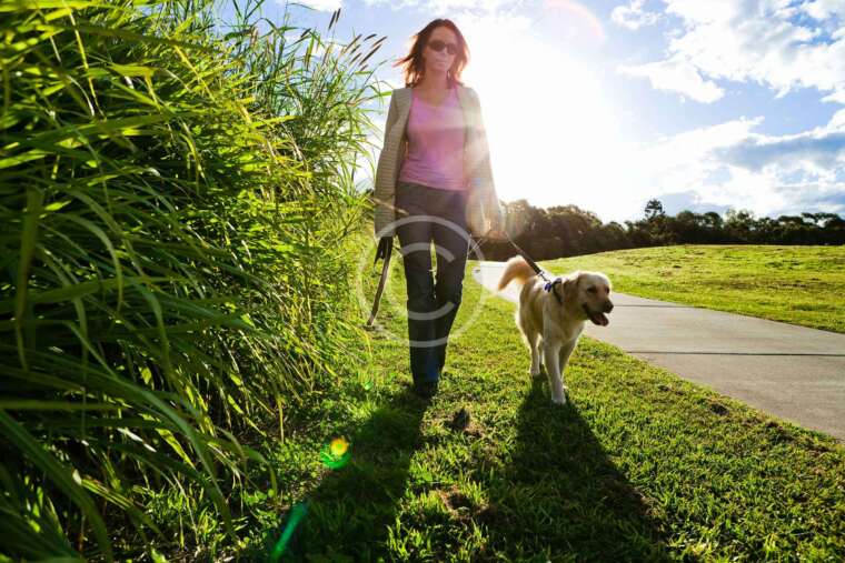 First Dog Walking Pics Of 2017